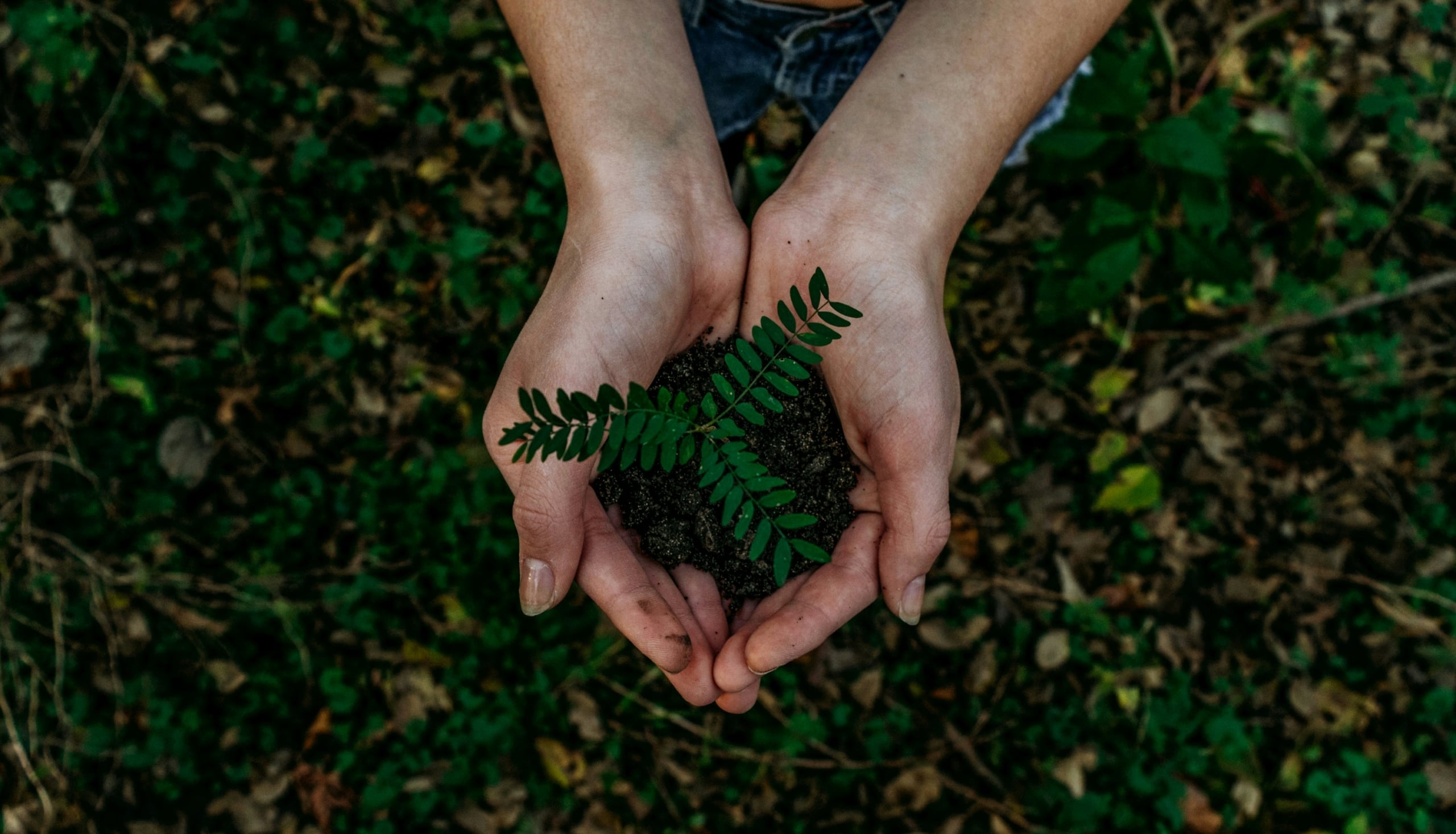 Sustainable Packing Practices: Eco-Friendly Moving