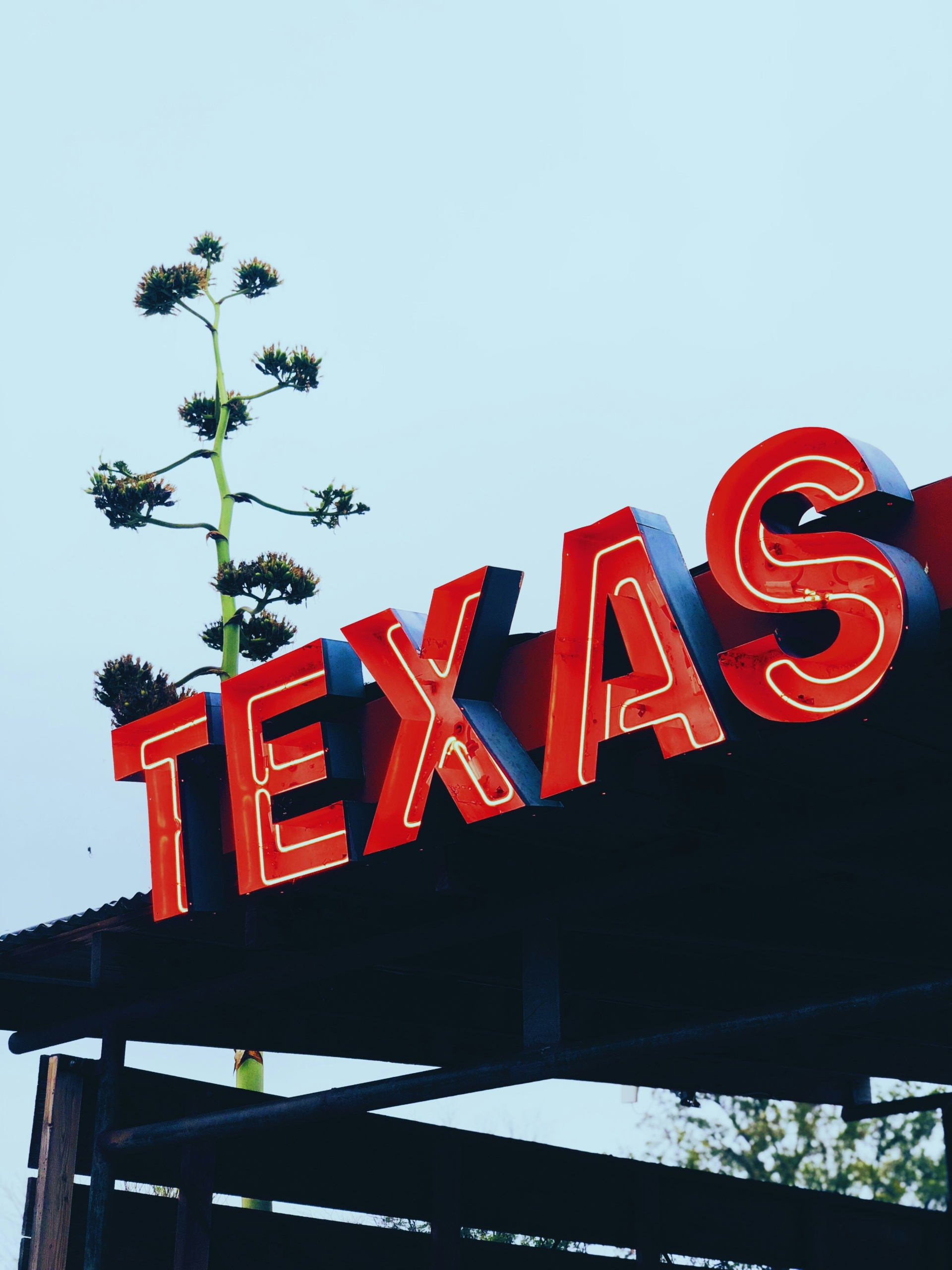 Cost of Living in Round Rock, TX: Is It Affordable?
