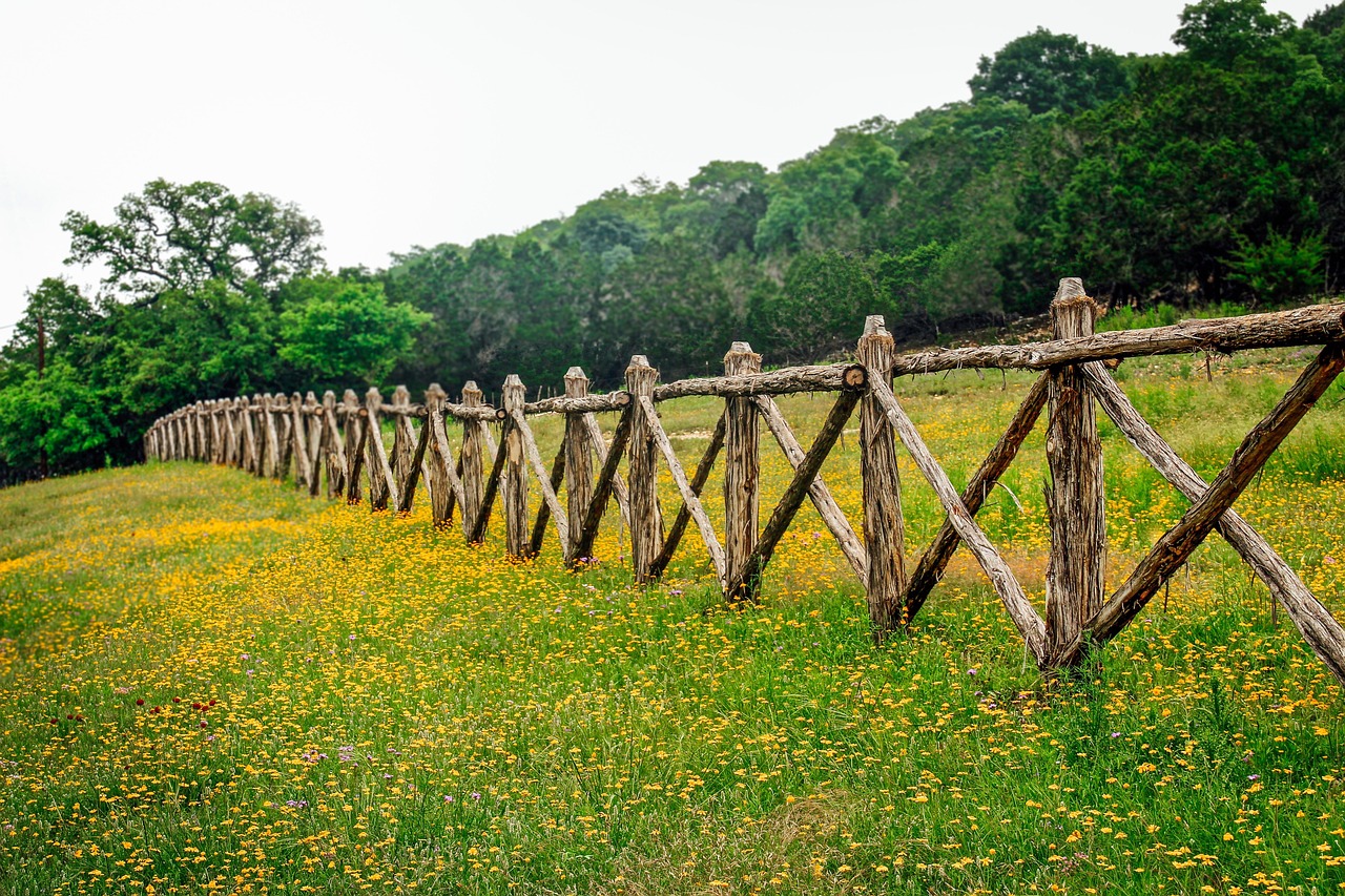 Nature’s Paradise: Cedar Breaks Park in Georgetown, TX
